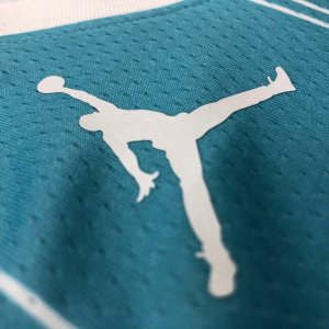 Charlotte Hornets Lamelo Ball Jordan Brand blue Swingman Jersey - Association Edition - image 11