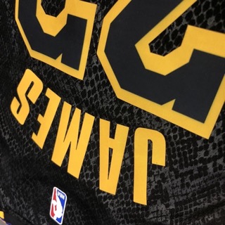 Los Angeles Lakers 23 Lebron James Black - image 9