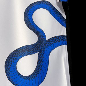 2021-2022 Inter Milan away - image 5