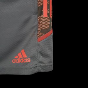 2021-2022 Flamengo Training Suit Shorts Dark Grey S-2XL - image 5