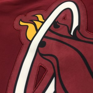 Miami Heat Vest - image 10