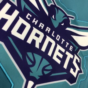 Charlotte Hornets Vest - image 9