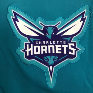 Charlotte Hornets Vest - image 8
