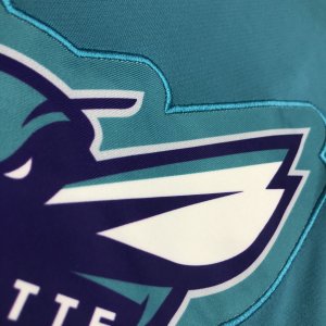 Charlotte Hornets Vest - image 3
