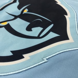 Memphis Grizzles Top Vest - image 12