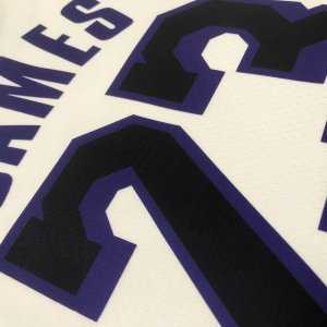 Lebron James #23 - Los Angeles Lakers *2022-2023* - image 14