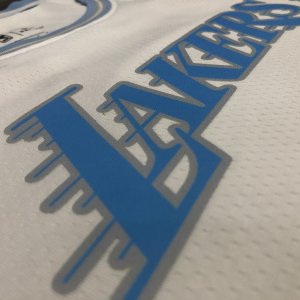 Los Angeles Lakers LeBron James #23 Nike White 2020-2021 Swingman Jersey - City Edition - image 5