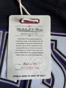 1998-99 Jason Williams Sacramento Kings Men's Mitchell & Ness Jersey - image 3