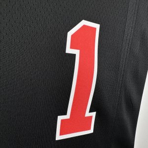 Chicago Bulls - Derrick Rose #1 City Edition 2023-24 - image 11