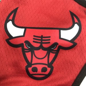 Chicago Bulls - Short *White* - image 8