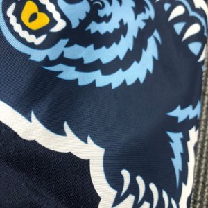 Memphis Grizzles - Short *Dark Blue* - image 11