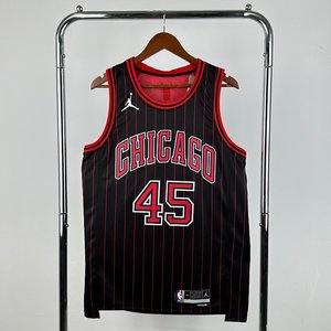 Chicago Bulls Jumpman Limited Edition - Michael Jordan #45 - image 1