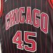 Chicago Bulls Jumpman Limited Edition - Michael Jordan #45 - image 16
