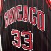 Chicago Bulls Jumpman Limited Edition - Scottie Pippen #33 - image 17