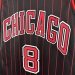 Chicago Bulls Jumpman Limited Edition - Zach LaVine #8 - image 17