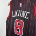 Chicago Bulls Jumpman Limited Edition - Zach LaVine #8 - image 18
