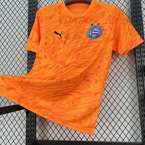 Brasileiro Serie A - 2026-27 Mens Bahia Goalkeeper Jersey - image 3