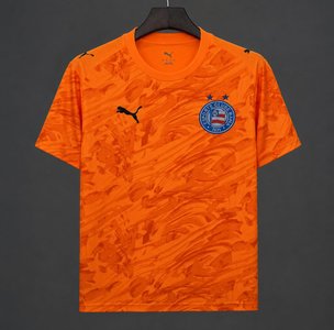 Brasileiro Serie A - 26-27 Bahia Goalkeeper Orange Jersey - image 1