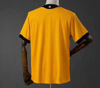 Brasileiro Serie A - 26-27 Botafogo Home GK Jersey - image 2