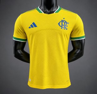 Brasileiro Serie A - 26-27 Flamengo x Brazil Special Edition World Cup Jersey - image 1