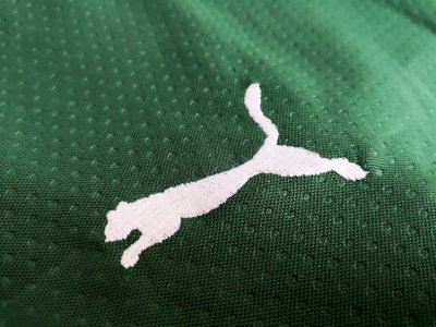 Sociedade Esportiva Palmeiras - image 3
