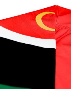 Libya Hockey Jersey - image 4