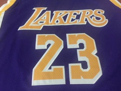 Lebron James - Los Angeles Lakers purple - image 4